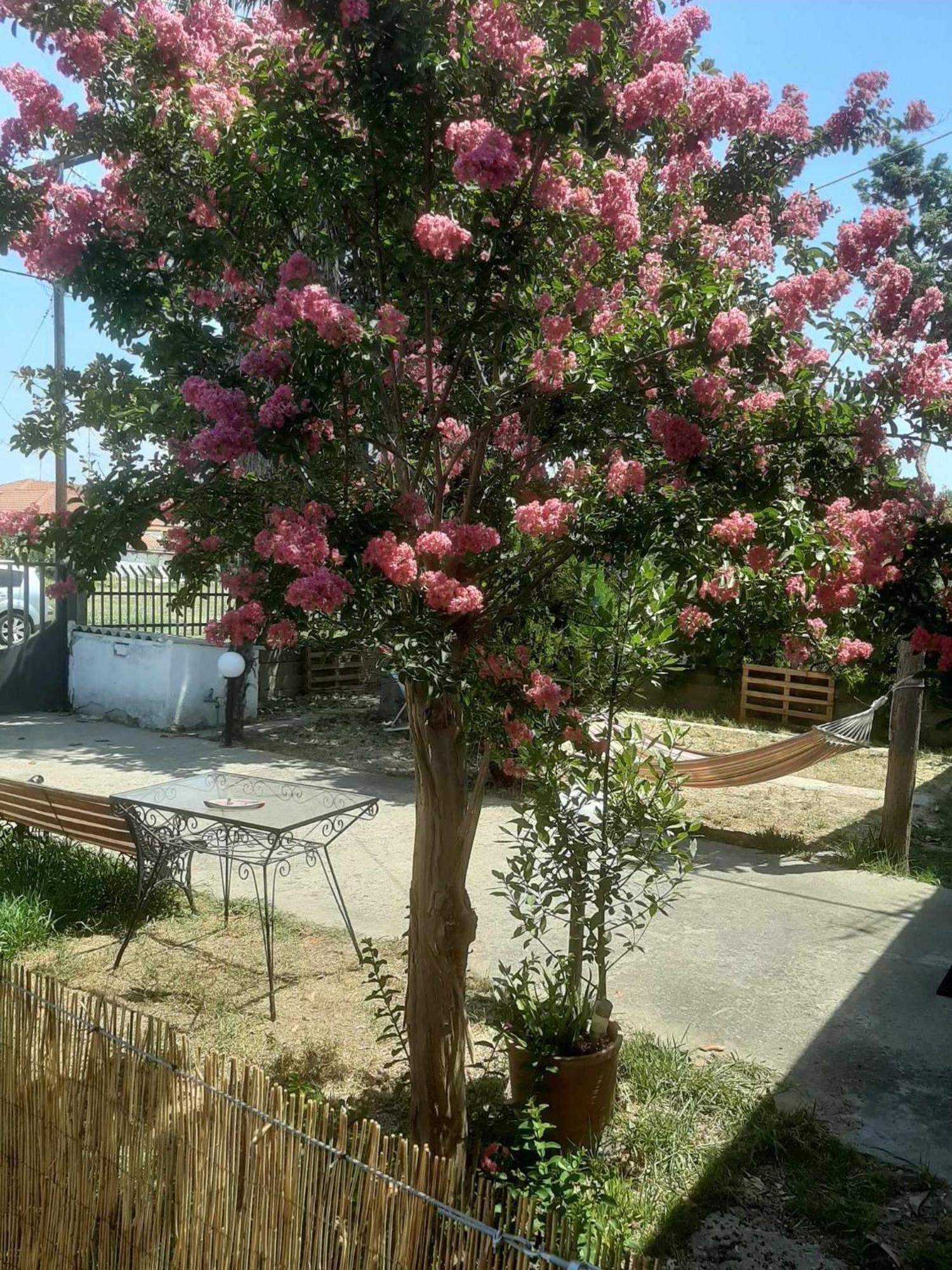 Magnolia House Holiday home Nea Vrasna